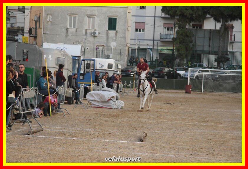 161106 equestre 022_tn.jpg